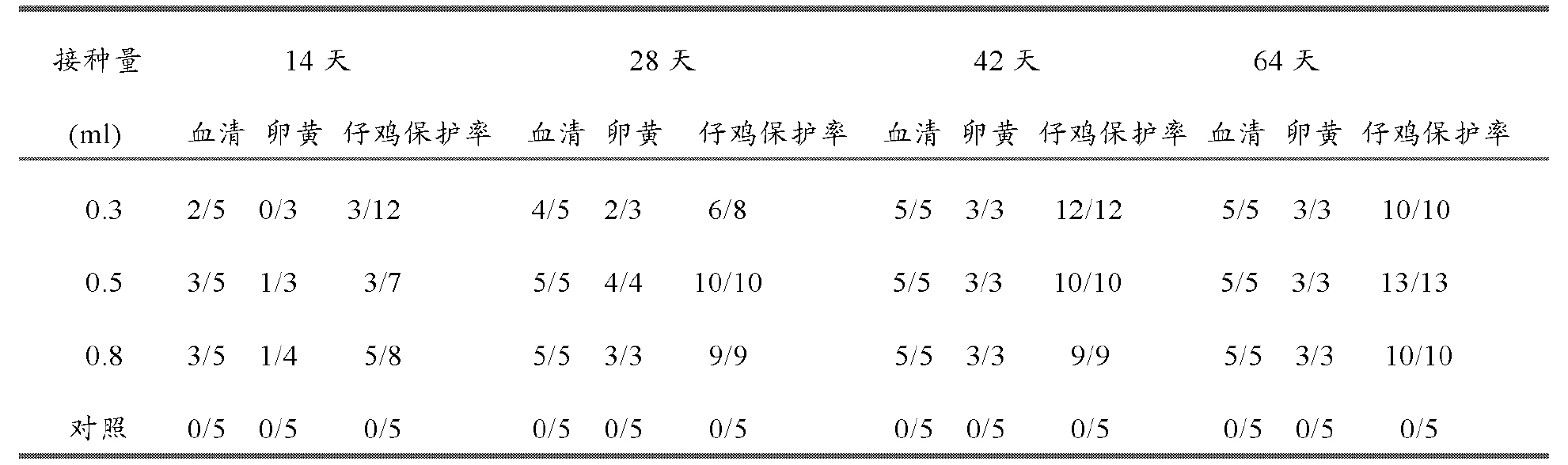 雞傳染性法氏囊病超強毒的細胞適應株及其套用