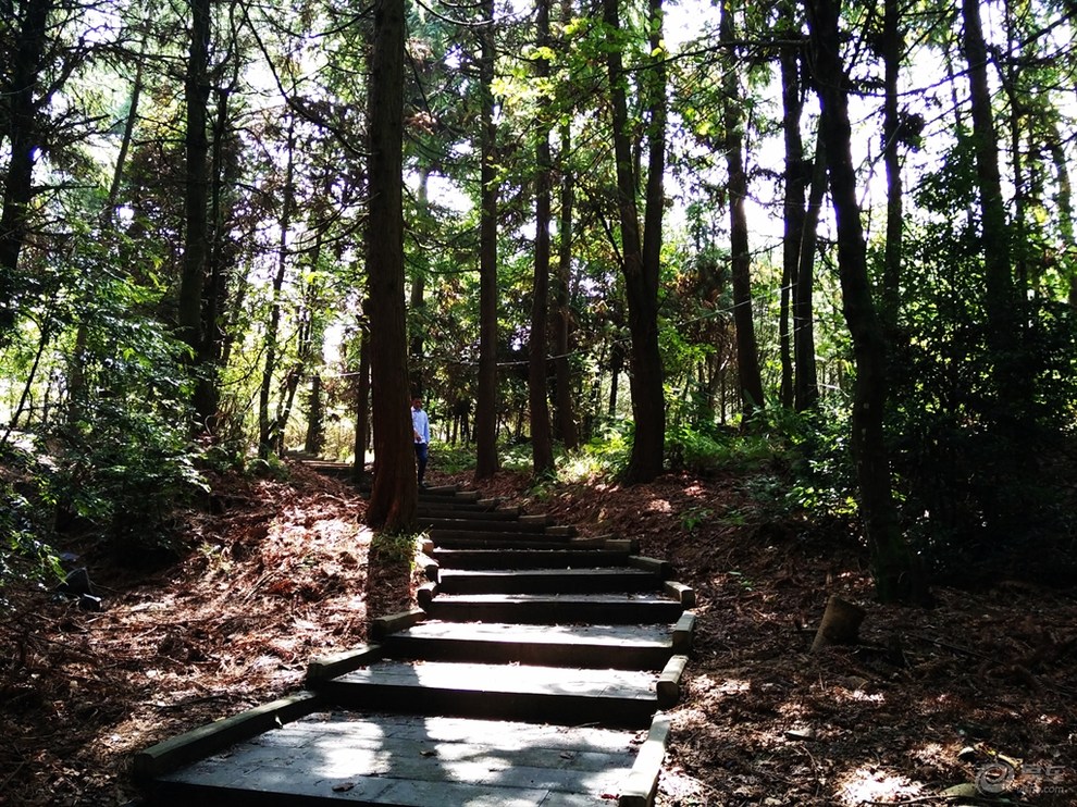 拱攏坪國家級森林公園