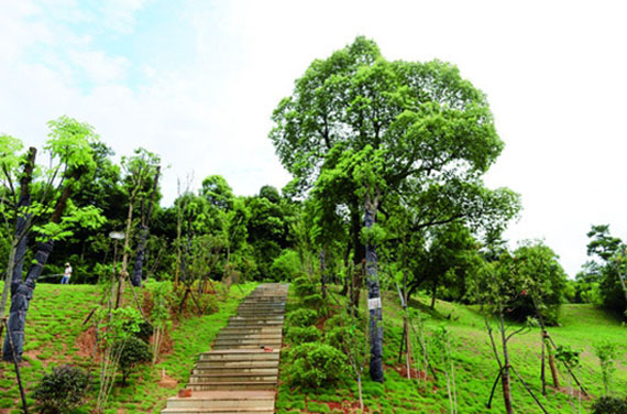 衡陽植物園