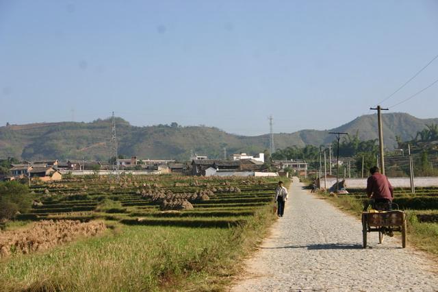 進村道路