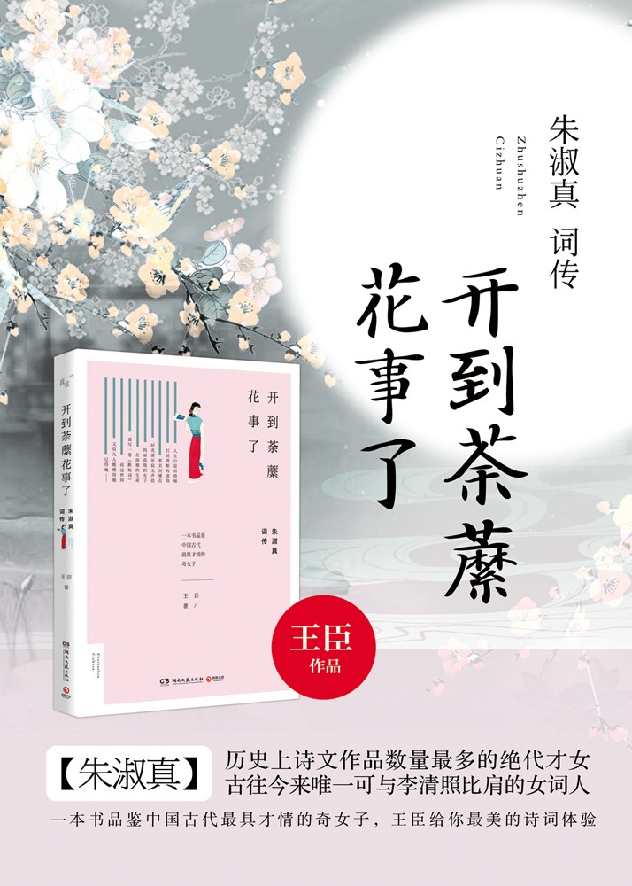 王臣(中國暢銷書作家)