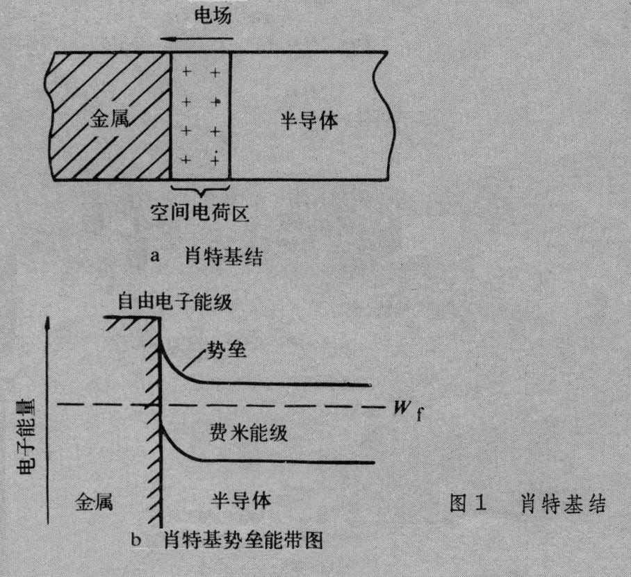 肖特基結