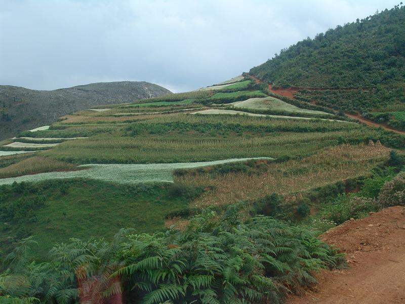 白沙地自然村(雲南東川區阿旺鎮下轄村)