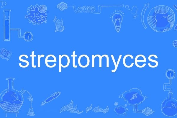 streptomyces