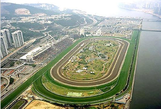 沙田馬場-彭福公園