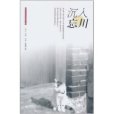 沉入忘川(2011年上海人民出版社出版的圖書)