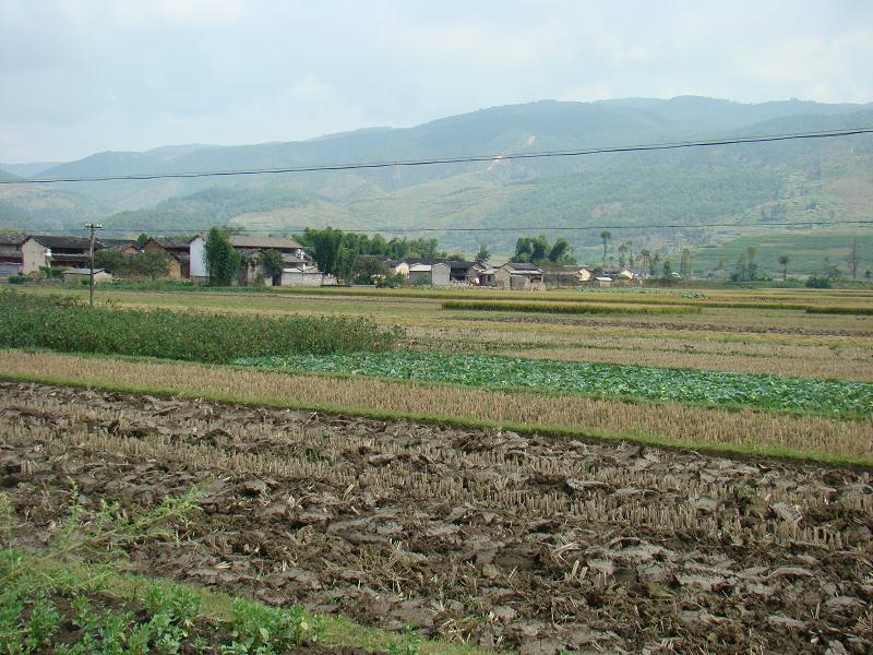 土官村(雲南省施甸縣仁和鎮土官村)