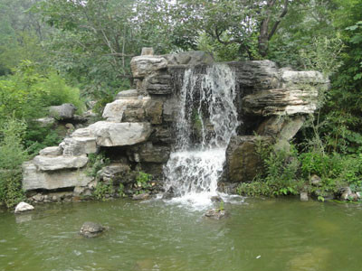 靜之湖森林公園