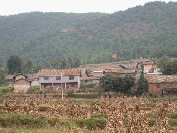 舊庄科村(雲南宣威市熱水鎮下轄村)