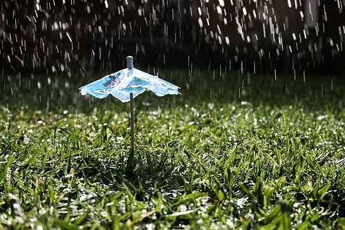 淋雨