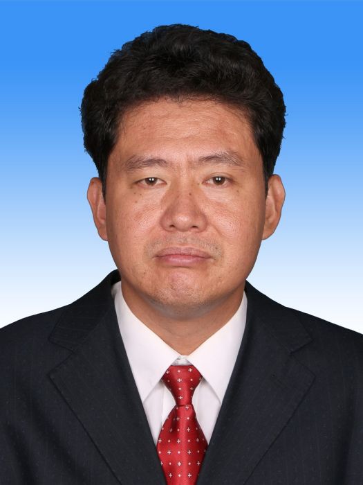 李德鴻(雲南省昆明市官渡區委副書記，區人民政府黨組書記、區長)