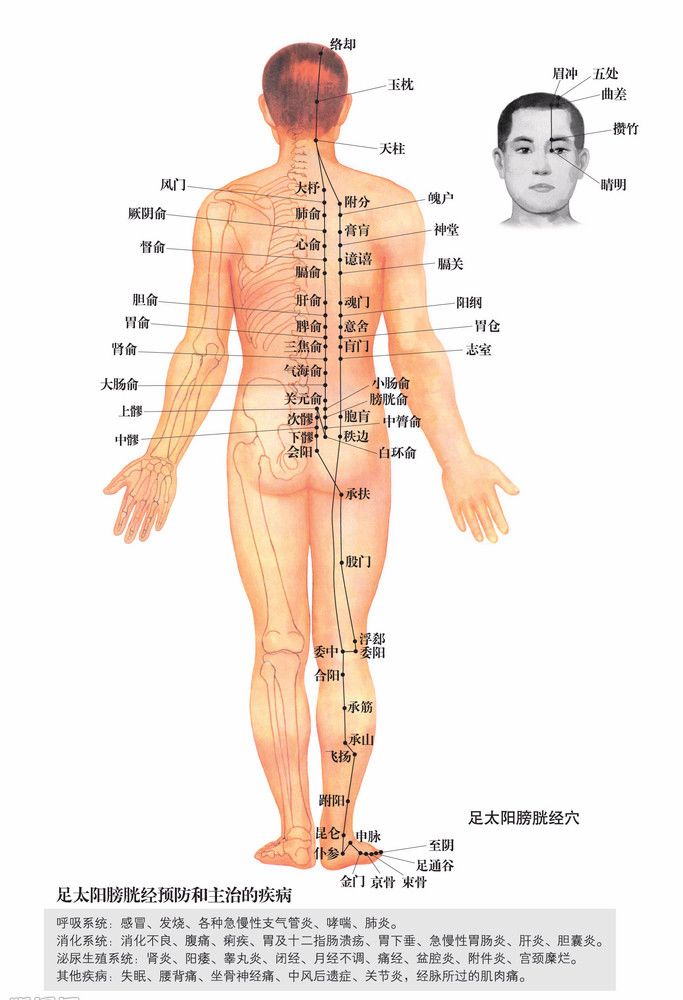 中醫生命與疾病認知方法