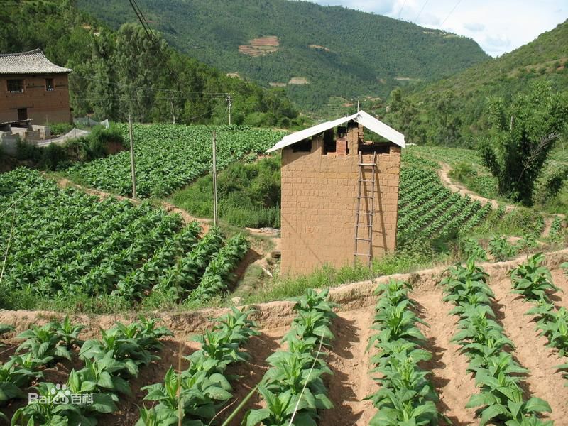 攀枝花自然村(雲南文山麻栗坡縣馬街鄉普元村攀枝花自然村)