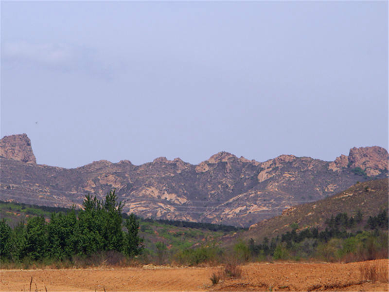 西樹林村