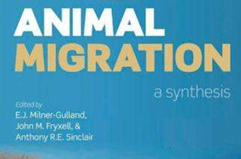 Animal Migration