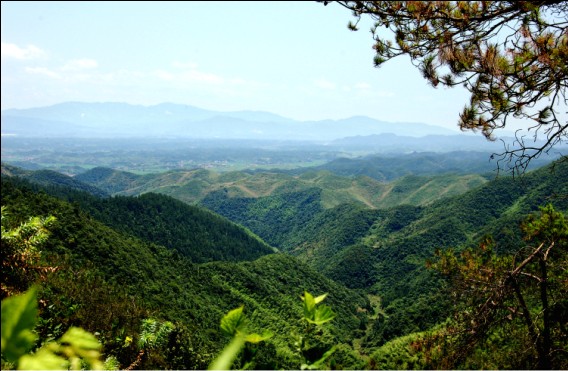 五尖山 風景