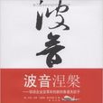 波音涅槃——驅動企業變革和創新的魯道夫因子