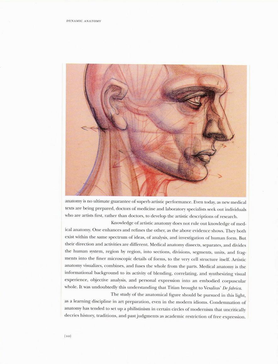 動態素描人體解剖