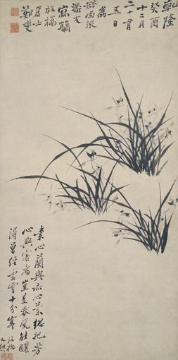 蘭花圖