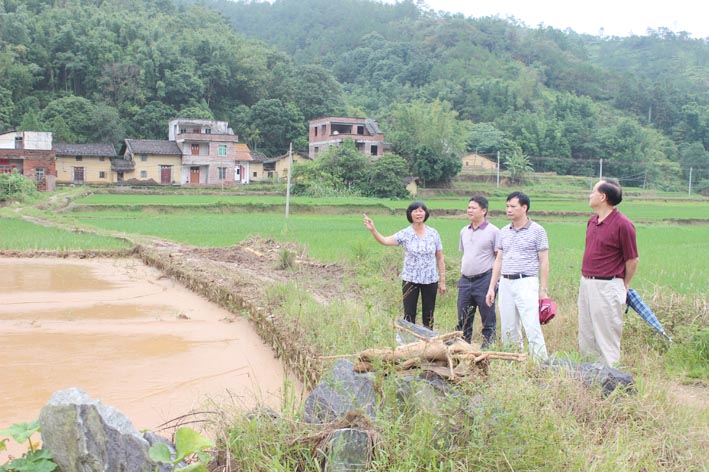 龍灣鎮(河北省保定市雄縣龍灣鎮)