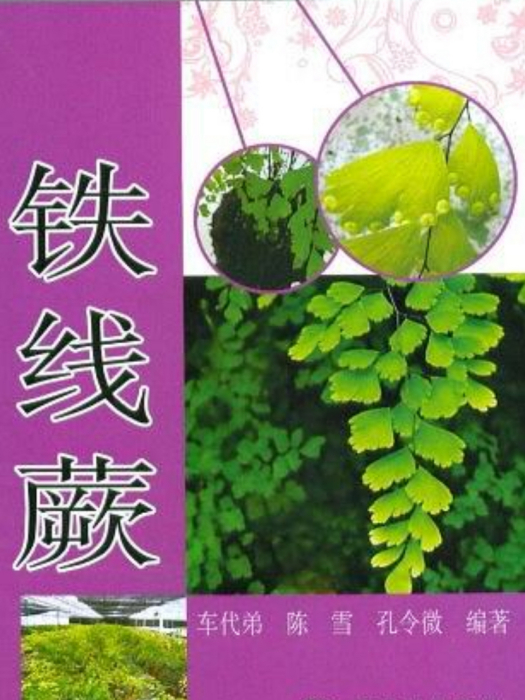 彩圖版養花說明書：鐵線蕨