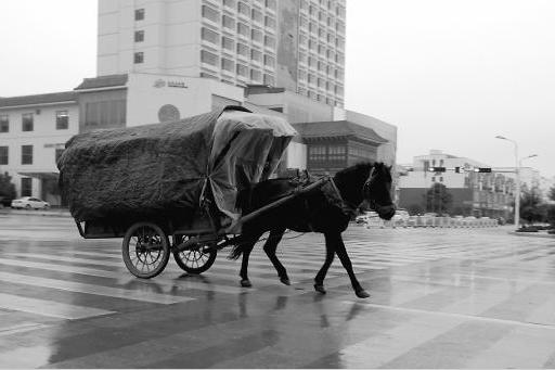 12·21雲南丘北車禍