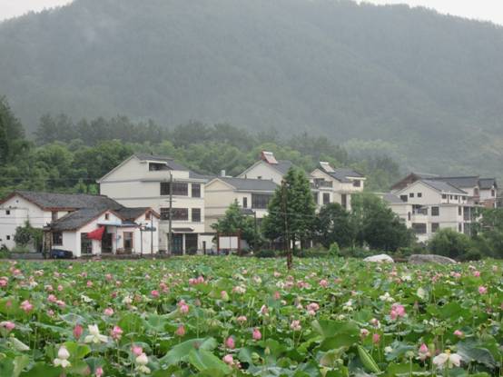 沙溪村(湖南省郴州市桂陽縣歐陽海鄉下轄村)