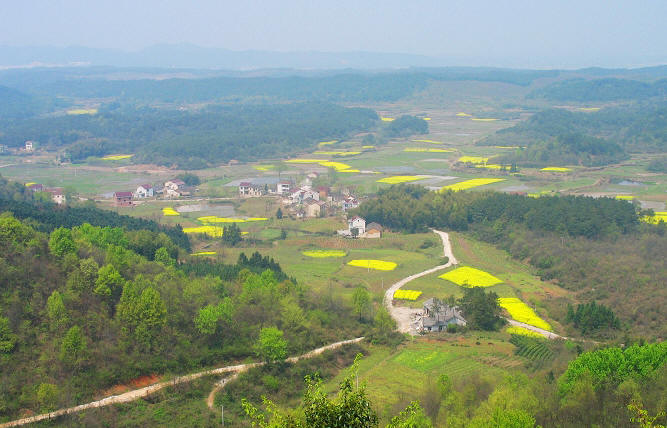 黃石溪名茶產園