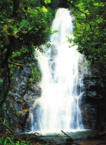 丫山龍山瀑布群