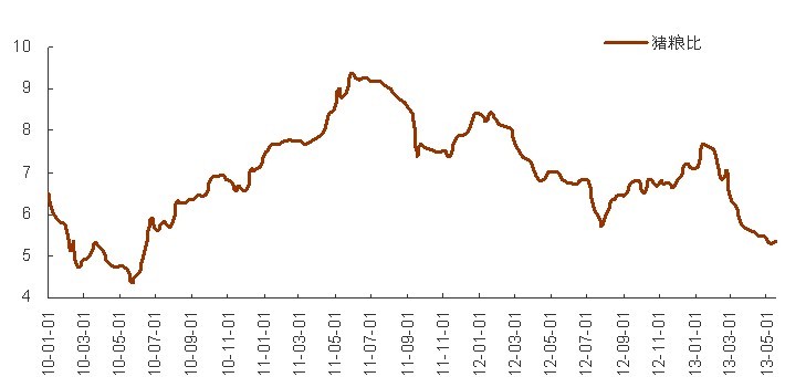 2010-2013年5月最新豬糧比走勢分析圖