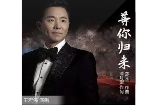 等你歸來(王宏偉演唱歌曲)