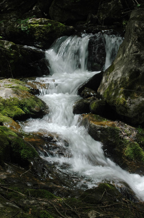 隴縣秦嶺細鱗鮭自然保護區鹹宜河景色