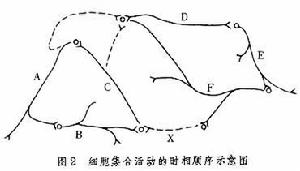 反響迴路