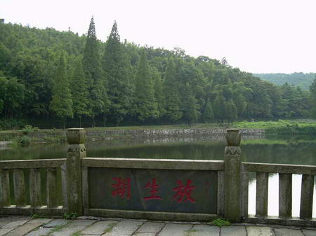 雲居山