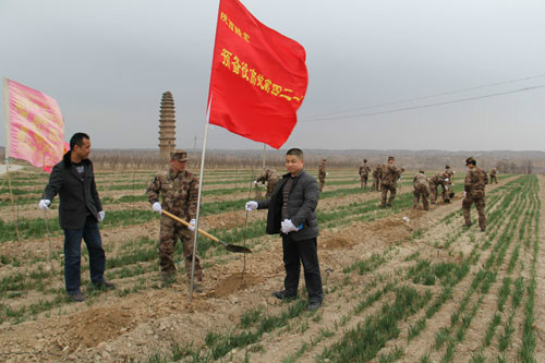 金陵農耕文化生態園內軍民共建生態林