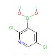 2,5-二氯吡啶-3-硼酸