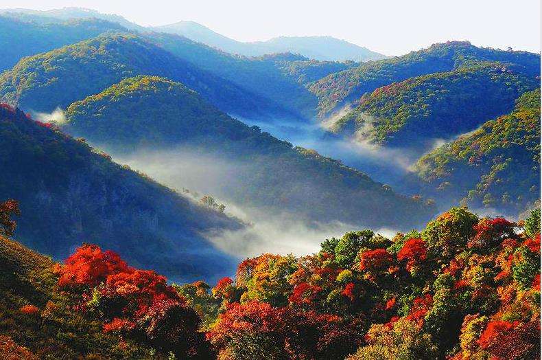 延安萬花山