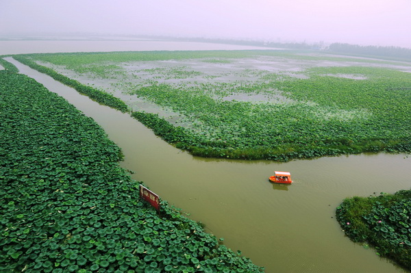 鶴龍湖荷花公園