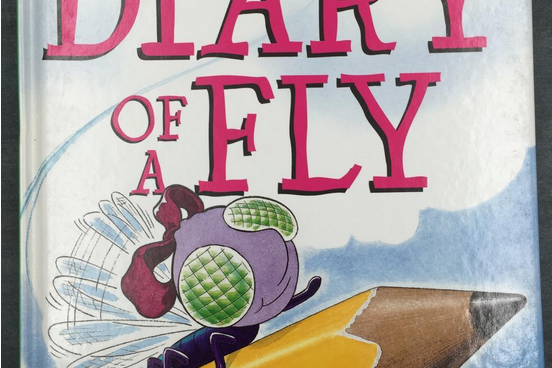 Diary of a Fly