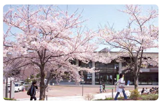 小樽商科大學(日本小樽商科大學)