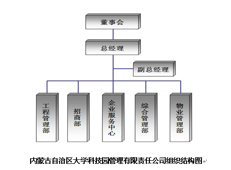 組織結構圖