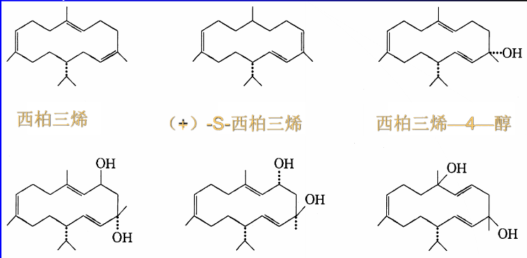 圖1  主要的菸草烷種類