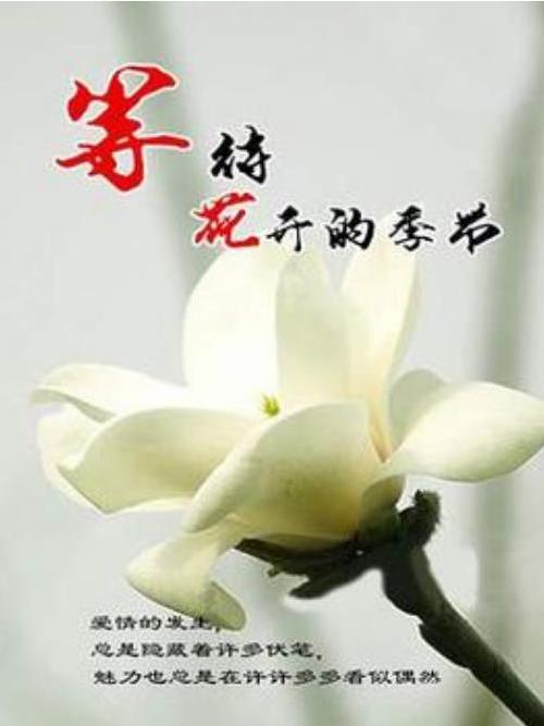 等待花開的季節(劉燁所著小說)