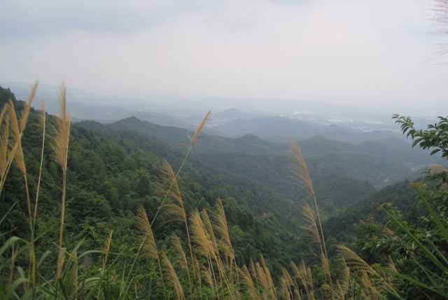 安峰山(連雲港市東海縣山名)