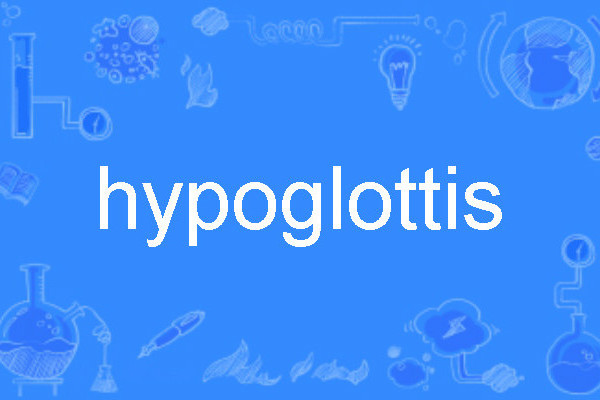 hypoglottis