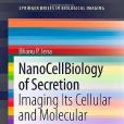 Nano Cell Biology of Secretion