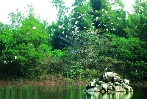 文昌白鷺湖文明生態片區