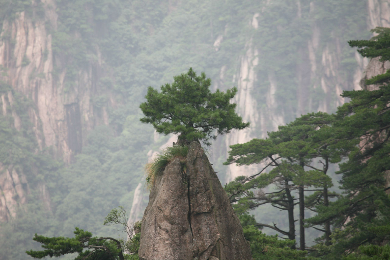 黃山夢筆生花