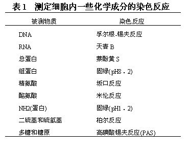 顯微鏡光度術