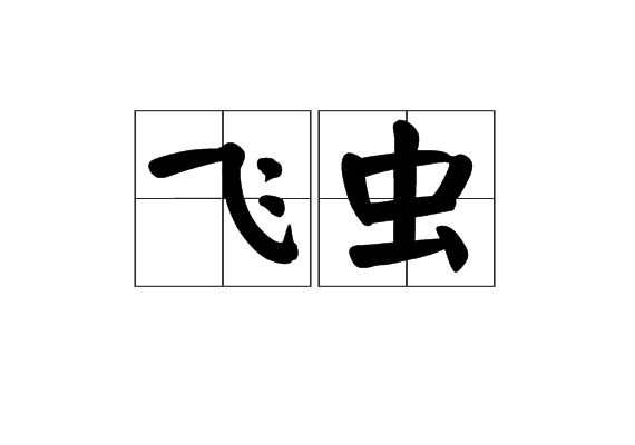 飛蟲(詞語)